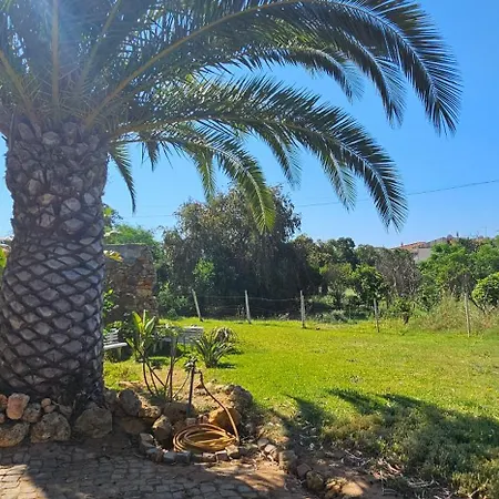 Quinta Do Lagar - Rural Retreat By The #8