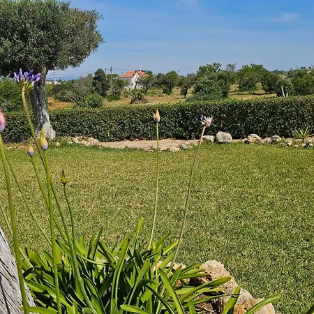 Willa Quinta Do Lagar - Rural Retreat By The #8